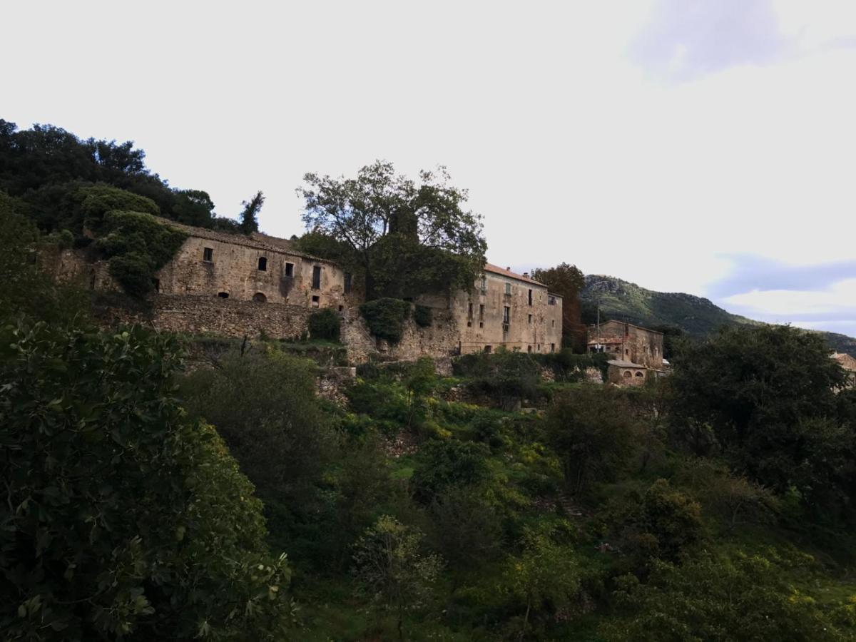Maison d'hôtes Requesens à La Jonquière Extérieur photo